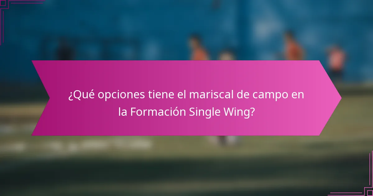 ¿Qué opciones tiene el mariscal de campo en la Formación Single Wing?